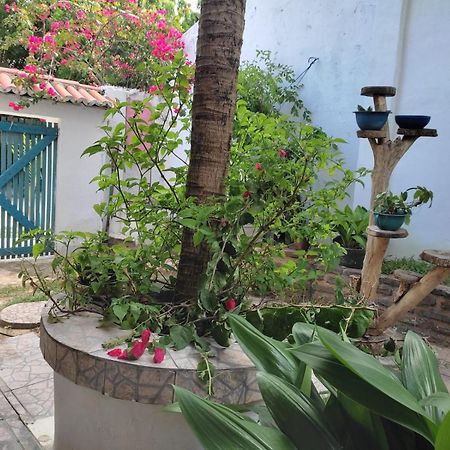 Residencial Dos Freitas Lägenhet Jijoca de Jericoacoara Exteriör bild